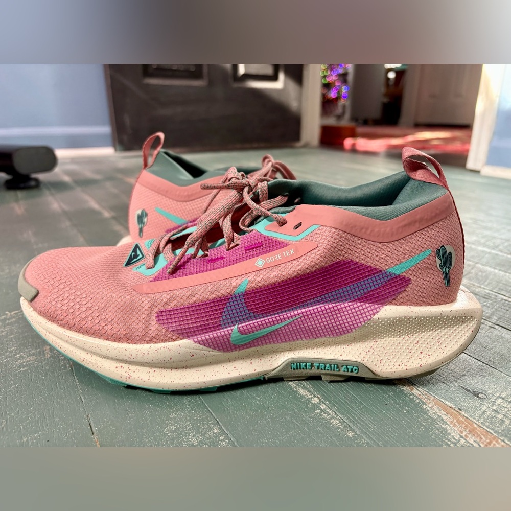 Nike Men’s Pink and Teal Pegasus Trail Running Shoes